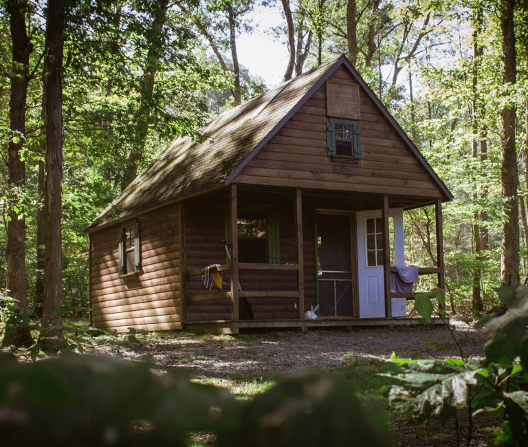 Tree House Tent